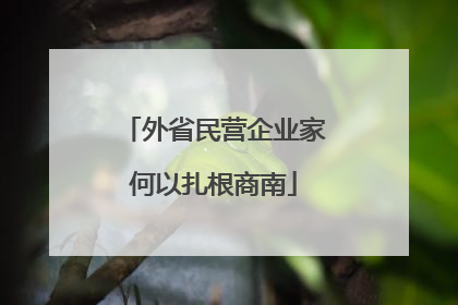 外省民营企业家何以扎根商南