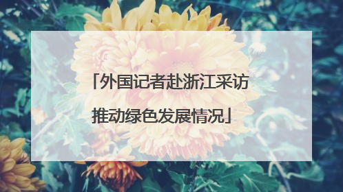 外国记者赴浙江采访推动绿色发展情况