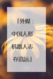 外媒：中国人形机器人志存高远