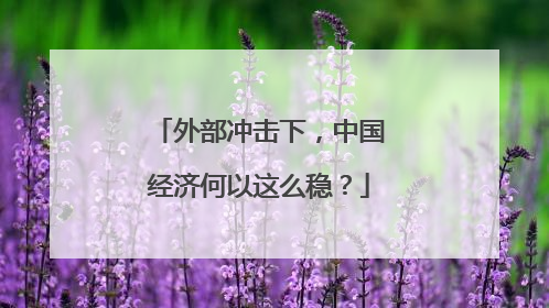 外部冲击下，中国经济何以这么稳？