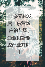 多元化发展，东营新户镇盐场、渔业和新能源产业并进