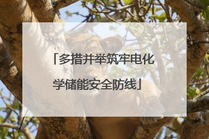 多措并举筑牢电化学储能安全防线