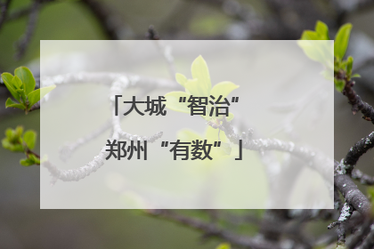 大城“智治” 郑州“有数”