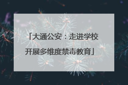 大通公安：走进学校开展多维度禁毒教育