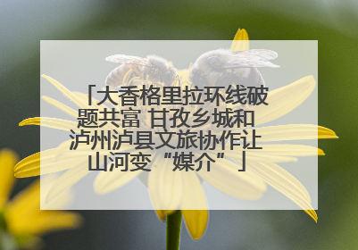 大香格里拉环线破题共富 甘孜乡城和泸州泸县文旅协作让山河变“媒介”