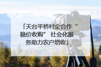 天台平桥村企合作“稳价收购” 社会化服务助力农户增收