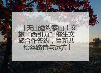 天山邀约泰山！文旅“西引力”催生文旅合作签约，鲁新共绘丝路诗与远方