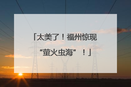 太美了！福州惊现“萤火虫海”！