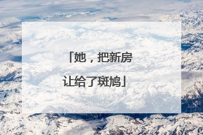 她，把新房让给了斑鸠