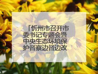 忻州市召开市委书记专题会暨中央生态环境保护督察边督边改工作推进会