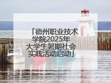 德州职业技术学院2025年大学生暑期社会实践活动启动