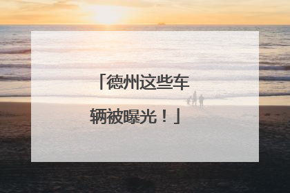 德州这些车辆被曝光！