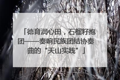 德育润心田，石榴籽抱团——奏响民族团结协奏曲的“天山实践”
