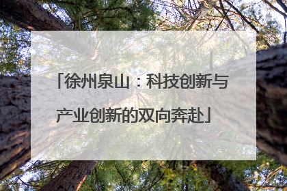 徐州泉山：科技创新与产业创新的双向奔赴