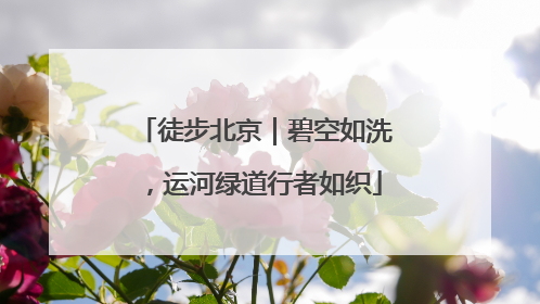 徒步北京｜碧空如洗，运河绿道行者如织