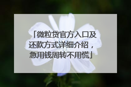 微粒贷官方入口及还款方式详细介绍，急用钱周转不用慌