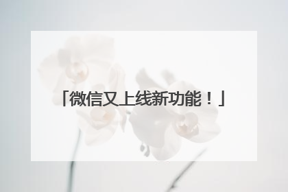 微信又上线新功能！