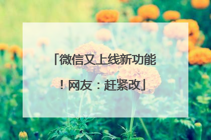 微信又上线新功能！网友：赶紧改