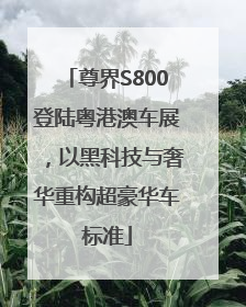 尊界S800登陆粤港澳车展，以黑科技与奢华重构超豪华车标准