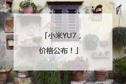 小米YU7，价格公布！