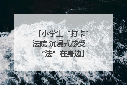 小学生“打卡”法院 沉浸式感受“法”在身边