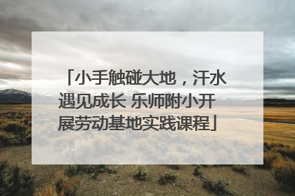 小手触碰大地，汗水遇见成长 乐师附小开展劳动基地实践课程