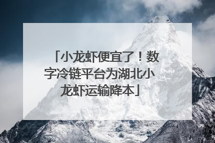 小龙虾便宜了！数字冷链平台为湖北小龙虾运输降本
