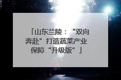 山东兰陵：“双向奔赴”打造蔬菜产业保障“升级版”