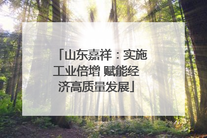 山东嘉祥：实施工业倍增 赋能经济高质量发展