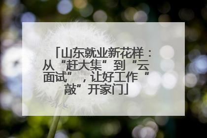山东就业新花样：从“赶大集”到“云面试”，让好工作“敲”开家门