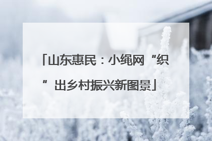 山东惠民：小绳网“织”出乡村振兴新图景