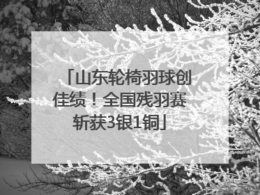 山东轮椅羽球创佳绩！全国残羽赛斩获3银1铜