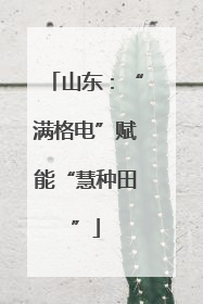 山东：“满格电”赋能“慧种田”