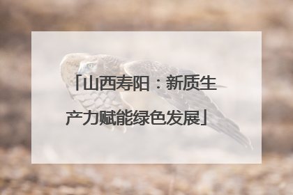 山西寿阳：新质生产力赋能绿色发展