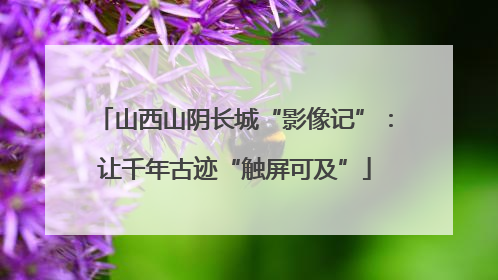 山西山阴长城“影像记”：让千年古迹“触屏可及”