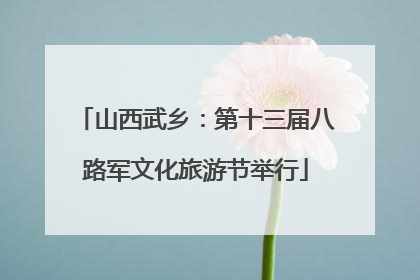 山西武乡：第十三届八路军文化旅游节举行