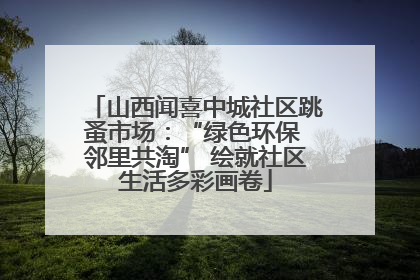 山西闻喜中城社区跳蚤市场：“绿色环保 邻里共淘” 绘就社区生活多彩画卷