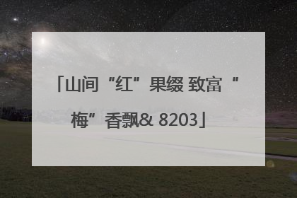 山间“红”果缀 致富“梅”香飘& 8203