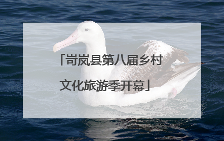 岢岚县第八届乡村文化旅游季开幕