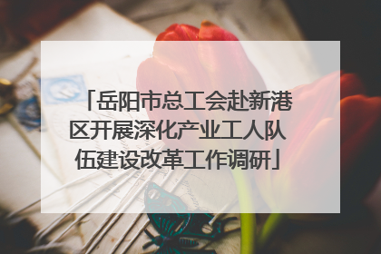岳阳市总工会赴新港区开展深化产业工人队伍建设改革工作调研