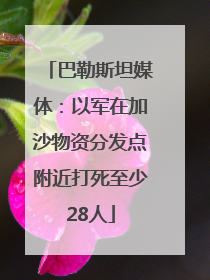 巴勒斯坦媒体：以军在加沙物资分发点附近打死至少28人