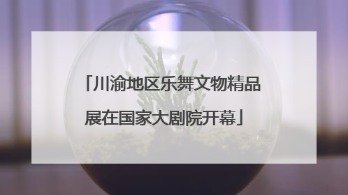川渝地区乐舞文物精品展在国家大剧院开幕