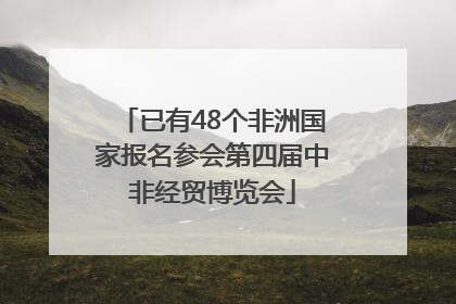 已有48个非洲国家报名参会第四届中非经贸博览会