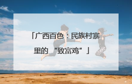 广西百色：民族村寨里的 “致富鸡”
