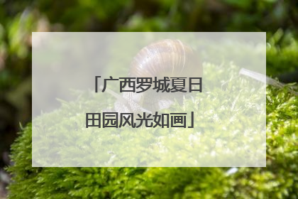 广西罗城夏日田园风光如画