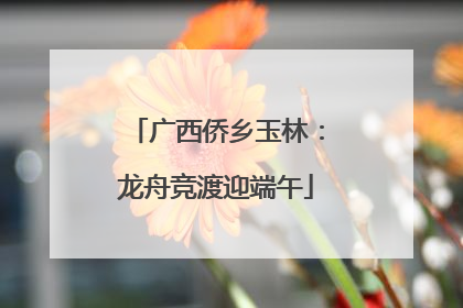 广西侨乡玉林：龙舟竞渡迎端午