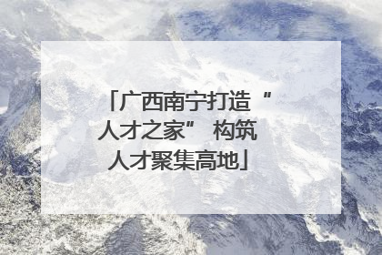 广西南宁打造“人才之家” 构筑人才聚集高地
