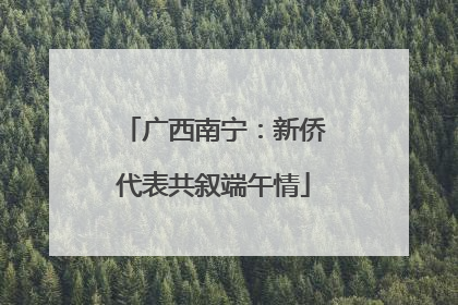 广西南宁：新侨代表共叙端午情
