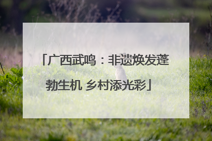 广西武鸣：非遗焕发蓬勃生机 乡村添光彩