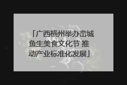 广西横州举办峦城鱼生美食文化节 推动产业标准化发展